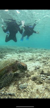 宮古島 ADVENTURE PiPi（ミヤコジマ アドベンチャー ピピ）に投稿された画像（2023/11/18）