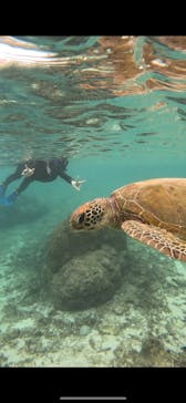 宮古島 ADVENTURE PiPi（ミヤコジマ アドベンチャー ピピ）に投稿された画像（2023/11/18）