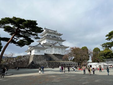 小田原城に投稿された画像（2023/11/18）