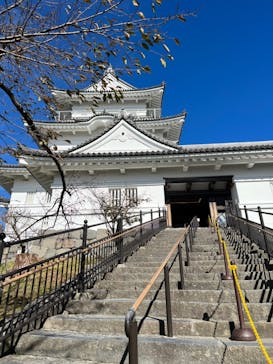 小田原城に投稿された画像（2023/11/18）