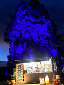 いばらきフラワーパークに投稿された画像（2023/11/18）