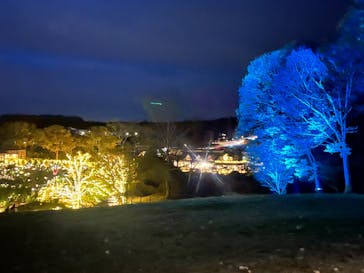 いばらきフラワーパークに投稿された画像（2023/11/18）