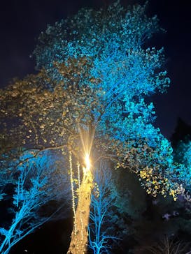 いばらきフラワーパークに投稿された画像（2023/11/18）