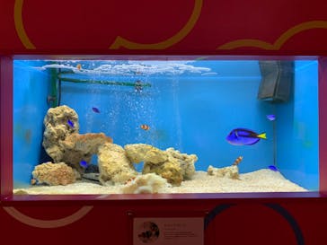 NARA KINGYO MUSEUMに投稿された画像（2023/11/18）