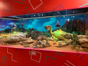 NARA KINGYO MUSEUMに投稿された画像（2023/11/18）