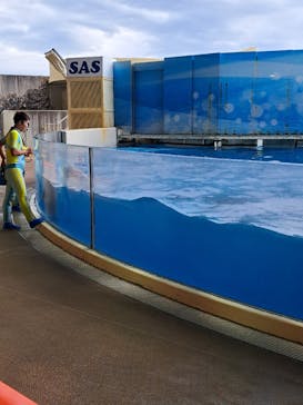 新江ノ島水族館に投稿された画像（2023/11/18）