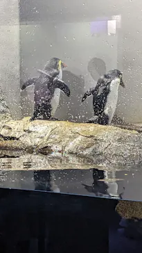 マクセル アクアパーク品川に投稿された画像（2023/11/18）