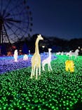 東武動物公園に投稿された画像（2023/11/18）