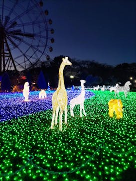 東武動物公園に投稿された画像（2023/11/18）