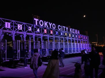 東京メガイルミに投稿された画像（2023/11/18）