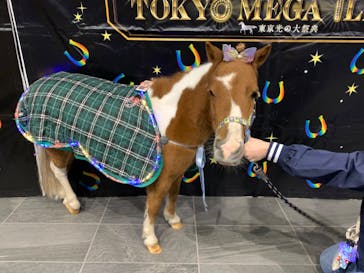 東京メガイルミに投稿された画像（2023/11/18）