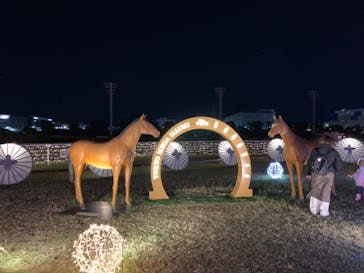 東京メガイルミに投稿された画像（2023/11/18）