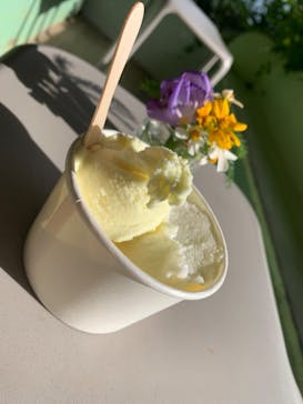 西表島 ADVENTURE PiPi（アドベンチャーピピ）に投稿された画像（2023/11/18）