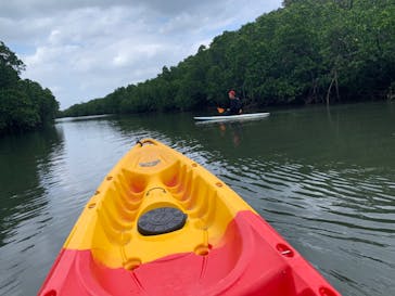 西表島 ADVENTURE PiPi（アドベンチャーピピ）に投稿された画像（2023/11/18）