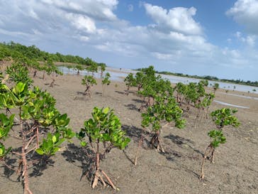 西表島 ADVENTURE PiPi（アドベンチャーピピ）に投稿された画像（2023/11/18）