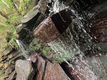 西表島 ADVENTURE PiPi（アドベンチャーピピ）に投稿された画像（2023/11/18）