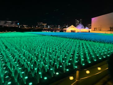 東京メガイルミに投稿された画像（2023/11/18）