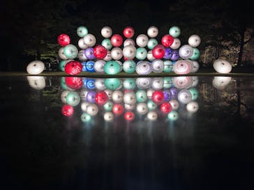 国営昭和記念公園 秋の夜散歩に投稿された画像（2023/11/18）