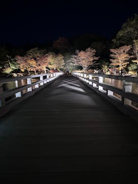 国営昭和記念公園 秋の夜散歩に投稿された画像（2023/11/18）