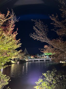 国営昭和記念公園 秋の夜散歩に投稿された画像（2023/11/18）