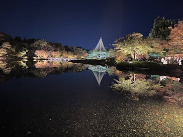 国営昭和記念公園 秋の夜散歩に投稿された画像（2023/11/18）
