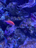 名古屋港水族館に投稿された画像（2023/11/18）