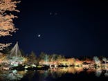 国営昭和記念公園 秋の夜散歩に投稿された画像（2023/11/18）