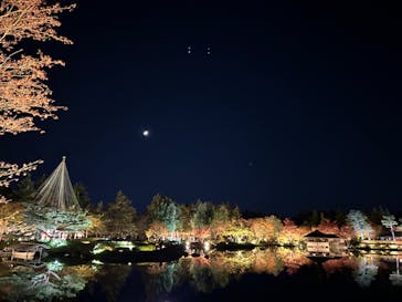 国営昭和記念公園 秋の夜散歩に投稿された画像（2023/11/18）