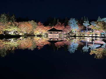 国営昭和記念公園 秋の夜散歩に投稿された画像（2023/11/18）