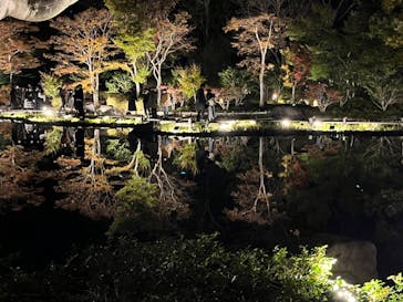 国営昭和記念公園 秋の夜散歩に投稿された画像（2023/11/18）