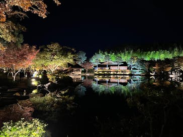 国営昭和記念公園 秋の夜散歩に投稿された画像（2023/11/18）