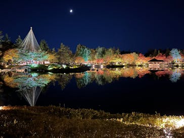 国営昭和記念公園 秋の夜散歩に投稿された画像（2023/11/18）