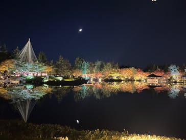 国営昭和記念公園 秋の夜散歩に投稿された画像（2023/11/18）