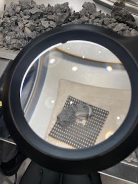 福井県立恐竜博物館に投稿された画像（2023/11/18）