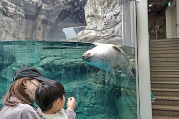 京都鉄道博物館×京都水族館に投稿された画像（2023/11/18）