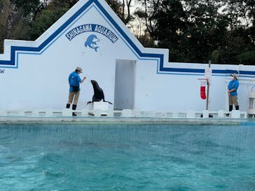 しながわ水族館に投稿された画像（2023/11/18）