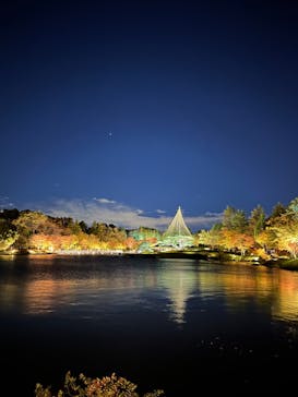 国営昭和記念公園 秋の夜散歩に投稿された画像（2023/11/18）