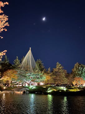 国営昭和記念公園 秋の夜散歩に投稿された画像（2023/11/18）