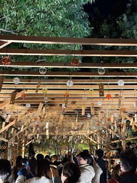 国営昭和記念公園 秋の夜散歩に投稿された画像（2023/11/18）