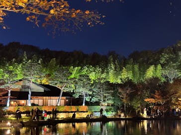 国営昭和記念公園 秋の夜散歩に投稿された画像（2023/11/18）