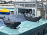 越前松島水族館に投稿された画像（2023/11/18）