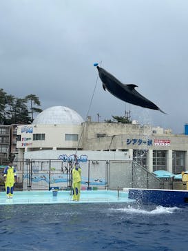 越前松島水族館に投稿された画像（2023/11/18）