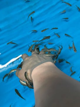 越前松島水族館に投稿された画像（2023/11/18）