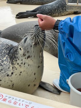 越前松島水族館に投稿された画像（2023/11/18）