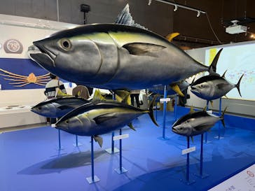 特別展「和食 ～日本の自然、人々の知恵～」に投稿された画像（2023/11/18）