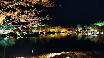 国営昭和記念公園 秋の夜散歩に投稿された画像（2023/11/18）