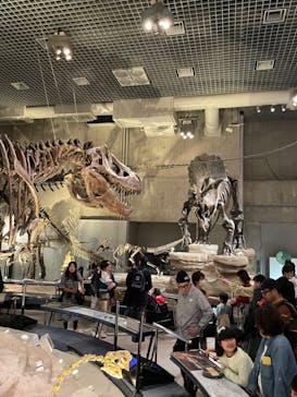 国立科学博物館に投稿された画像（2023/11/18）