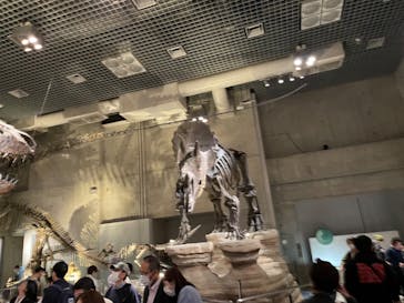 国立科学博物館に投稿された画像（2023/11/18）