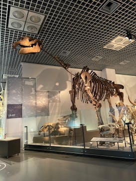 国立科学博物館に投稿された画像（2023/11/18）