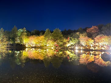 国営昭和記念公園 秋の夜散歩に投稿された画像（2023/11/18）